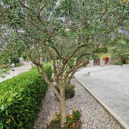 Soba Gracijela Gasthuis Motovun