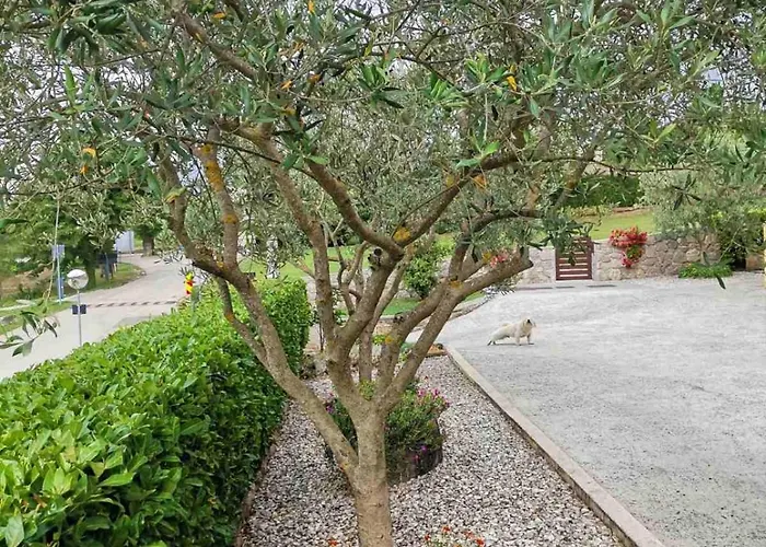 Soba Gracijela Gostinjska kuća Motovun